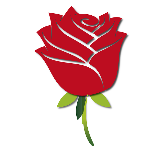 Flower Up